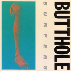 Butthole Surfers, Rembrandt Pussyhorse LP