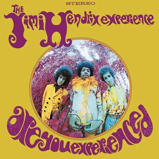 The Jimi Hendrix Experience - Are You Experienced_LP_Vinyl_Record