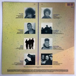 Paradise Regained: The Garage Sound Of Deepest New York Vol. 2