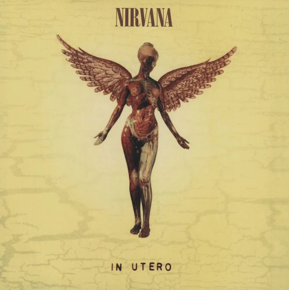 Nirvana In Utero vinyl record