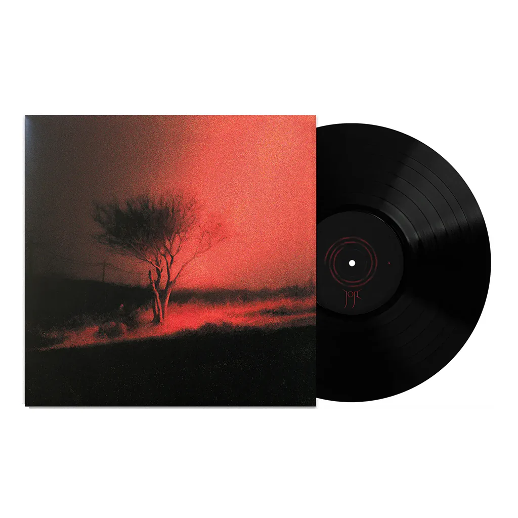 Joji - Piss In The Wind_LP_Vinyl_Record